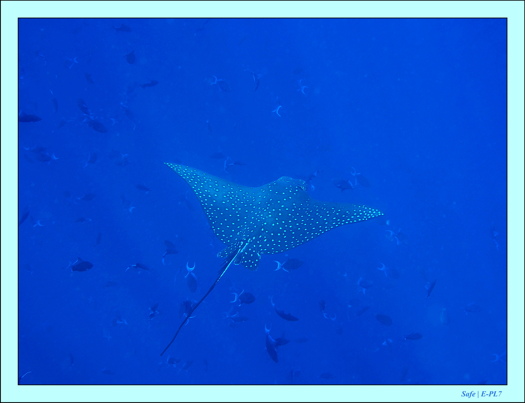 2023 - 07 - Sandies Bathala - 108